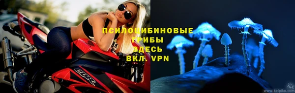 мескалин Арсеньев