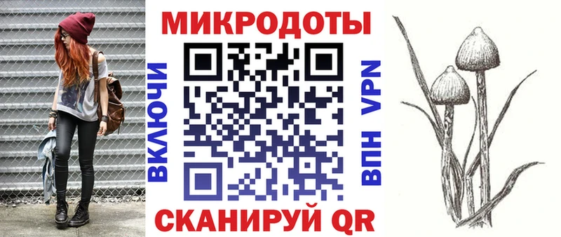 mega вход Медвежьегорск Галлюциногенные грибы Psilocybe цена наркотик